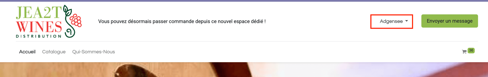 Accueil du site web